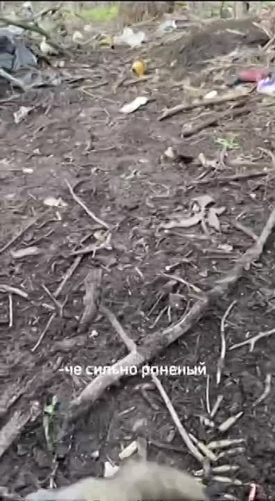 �����: ��������� �������� �� ���������