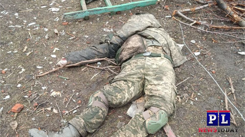 ������ ���������: ������� ���������� ������� �������� ����� �� ���� ������/��������� � ���� ������������