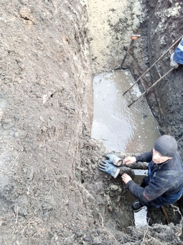 ��������� ��������: ������ ��������� ��������� ������� ��������� � ����������� �������� ����� ����� �������� ���� ����������� ������ �� ������ ������� ��������������� ����� �� ����� �����������, 8