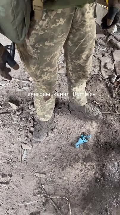 ������ �������: "���������" �������� � ��������