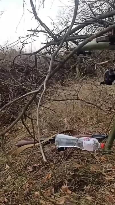#������. #������. ����� ���� �� ������ ��������, ��� ��������� ��������� �� ������� ��� � ����� ������, ��� � ������ ����.