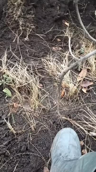 ����������� �� ��� ��������, ��� ������� ������ �������� ������� ����������