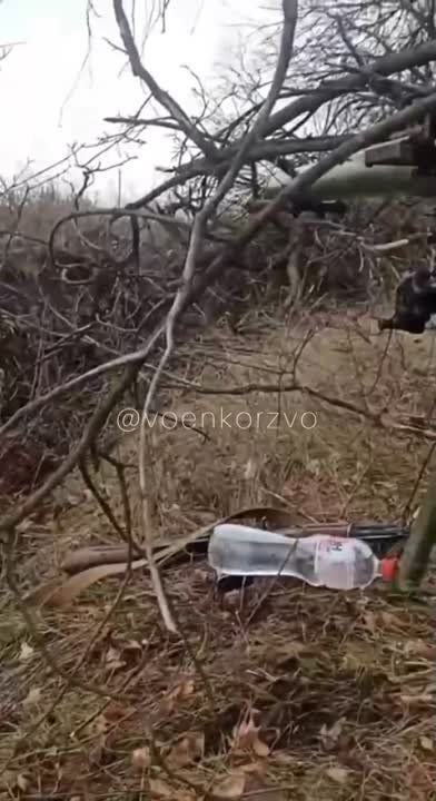 ����� �����: ��� ��������, ��� ������� ������ �������� ������� ����������