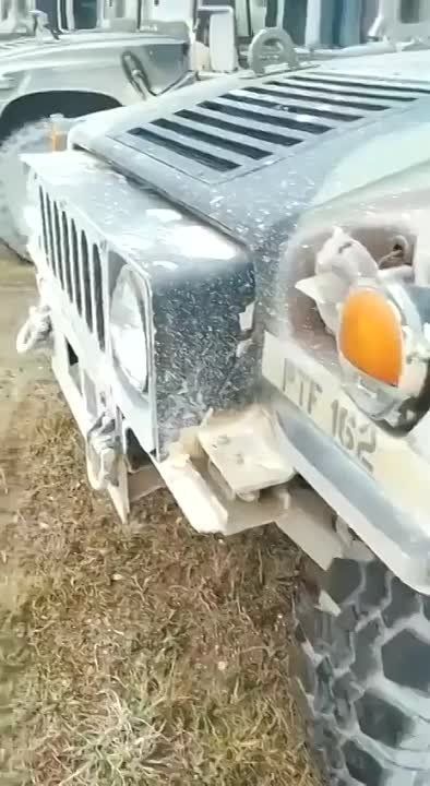 ����� ���������� ���������� ������� ����