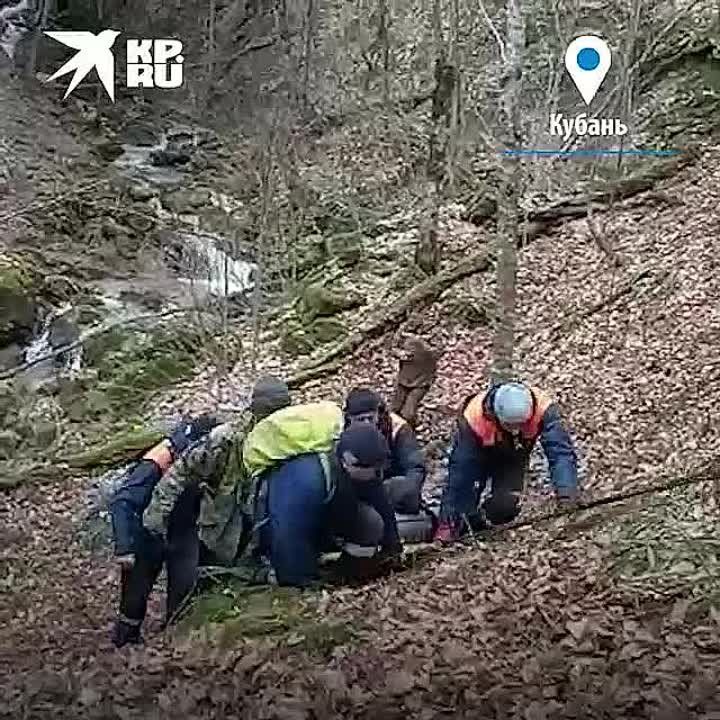 �������� � ���� ������� �� ���������� ������ ������� ���������