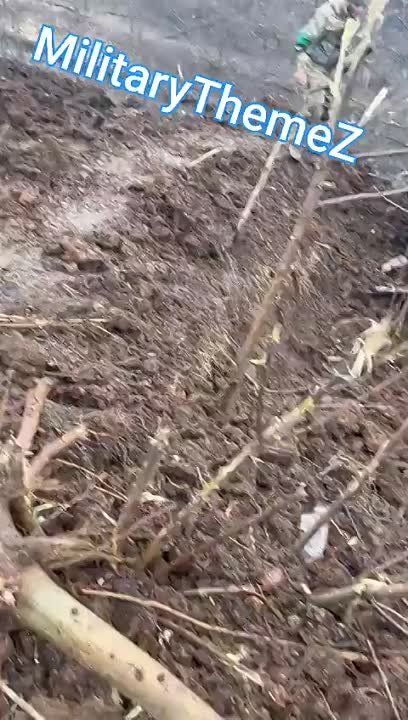 ���� �������: ��� ���� �������� �����, ������ �����������, �������� � ����� ���, �� ������� �������