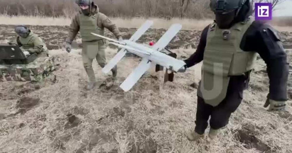 "��������" �������� ����� ����������� ������� "��������"