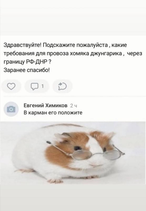 �������: ��� ��������� ������� ����� ������� ��/���