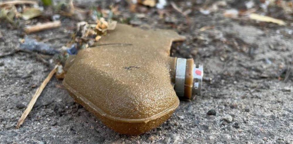 ���� ��������: ��������!. � ���������� ������ ������� �� ��. ���������� ���������� ����������� ��������������� ���� "��������"