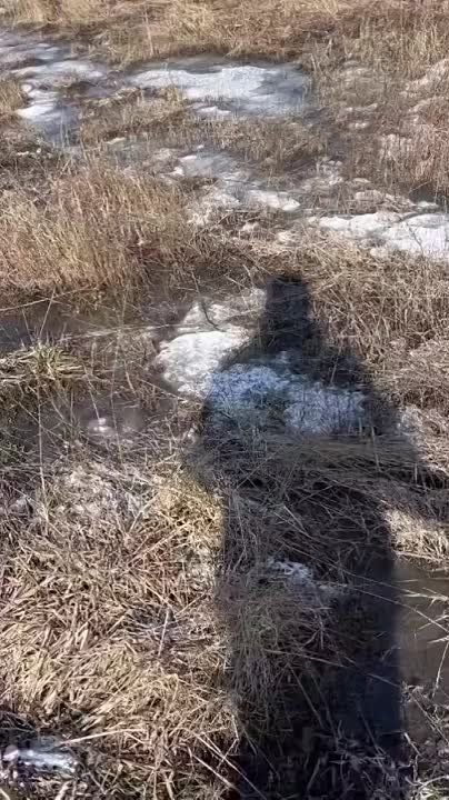 ������ �������: � ���� ���������� ��� �� ������� ������� ������������� ���������� ����� ���������� ������ �������������� ����������� ����� �����