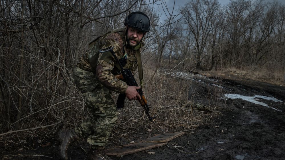 ������ ����������: ������ �� ������� ������� ����, ����� ���������� �����������, ������ ����� �������� ��� - The New York Times