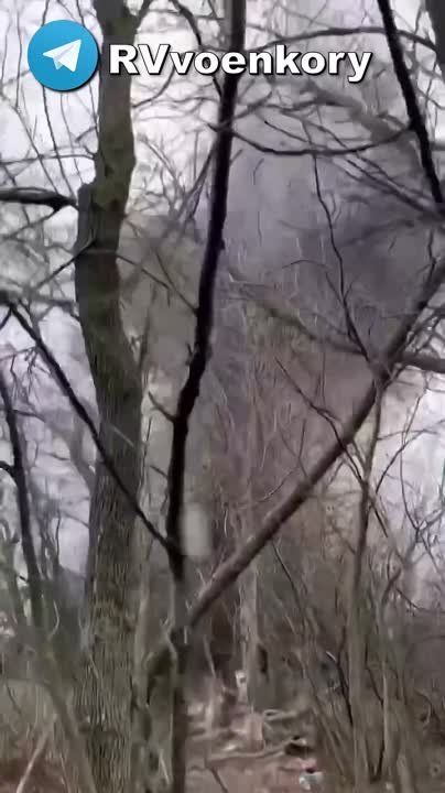 ���� ������� ������� �������� "�����" � ������� - ����� �����