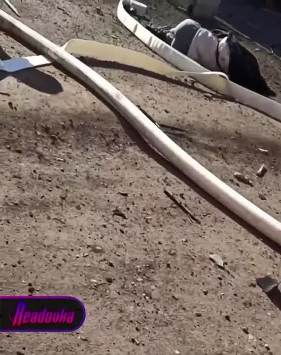���� �������� ��� �� ��������� ���� ����� ���� ������ ��������� � ������ ��� ��� �������