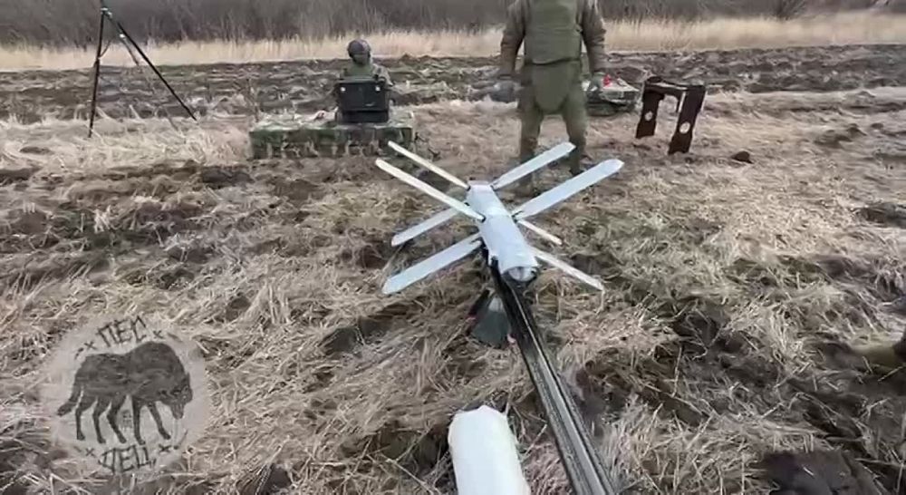 �������: ��� ��� ��������