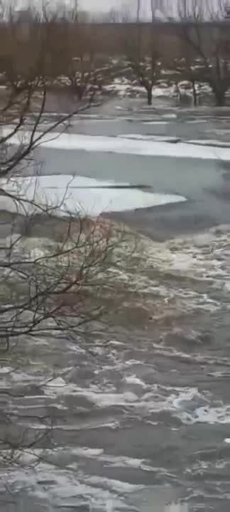 ������� � �������� ������� ������ ������ � �����