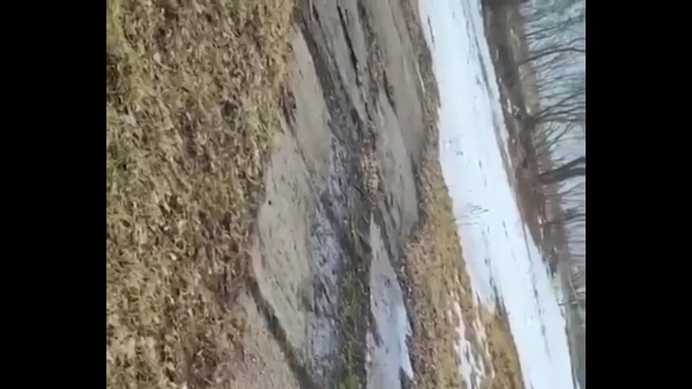 ������� ���������: � ���� ��������� ����� ���������� ������ ������ ����-1500� �� ������������ �������� ���������� ������������