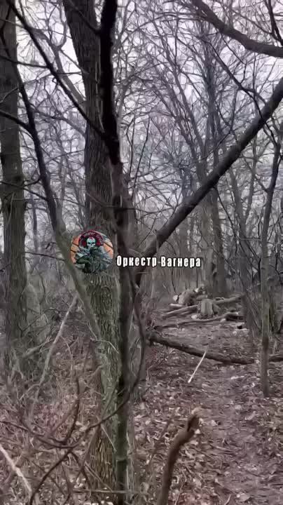 ���� ���������� "�������" �� ������� 3 ��� "����" ��� ����������
