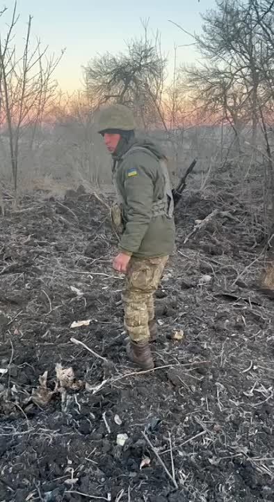 ������ �������: ���������� �������������� ������������ � ������������ ������ ����� �� �� �� �� �������� � ������ ��������