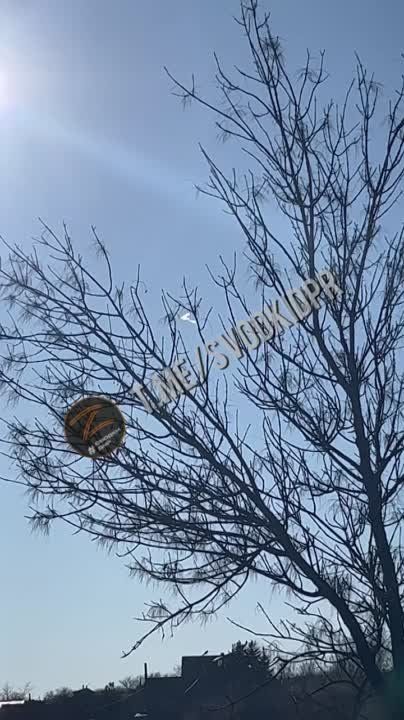 � ���� ��� �������� - ������