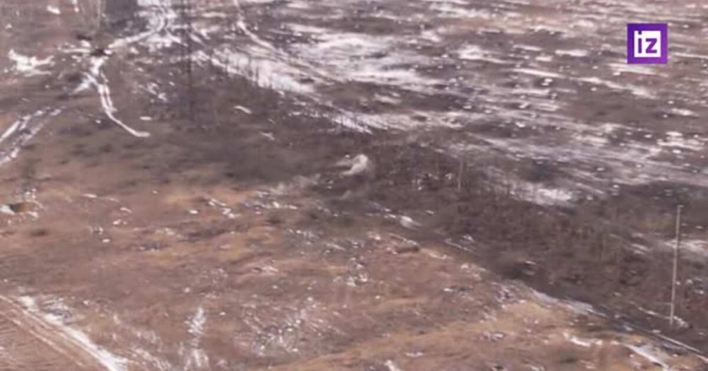 ����� ����������� ���������� ������������� � ������ ��������