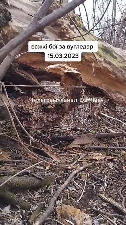 ������ �������: ������� ��������� ��� ����� ���������� ������� ������������� ���������-����������������� ����������� "V" �� ��. ���� �� ������ ��� ������-������������, ���������� ������� �����