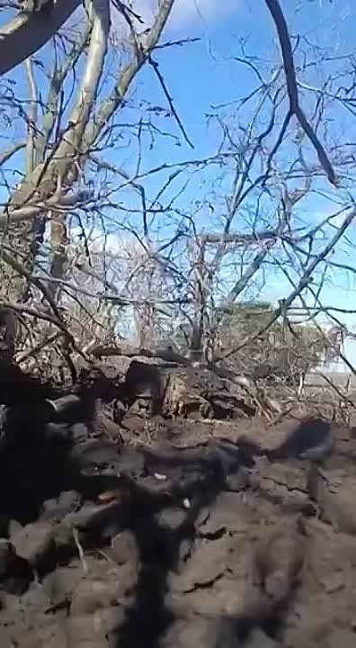 ������ �������: ����������� ������ ����������� ���-4�