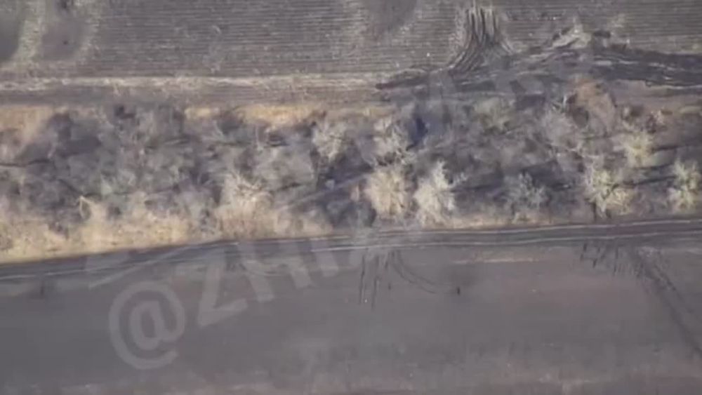 ����������������� ��� ������� �������� � ���� ����������� ��������� � ����������� ������������� ����� �� ������� ����� ������� ������� "���������������� ������ ���������� ����� �� ����� ������"