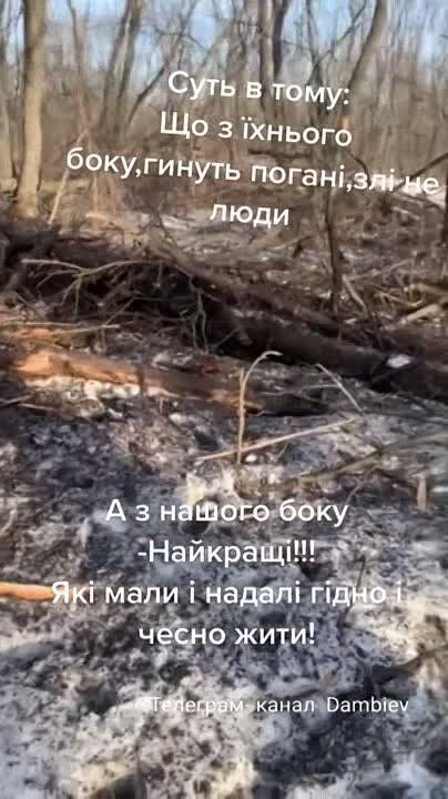 ������ �������: ��� ���� ���������� �� ����� ���������� ������������� ������ Bushmaster PMV �������������� ������������ ���-�� � ���� ���������� ���. ���� �� ������ ��� ������-������������, ���������� ������� �����