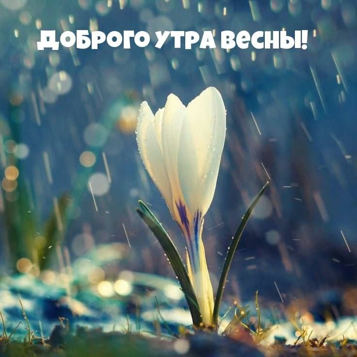 ����� �������: �������� ���������� �� ���� ����