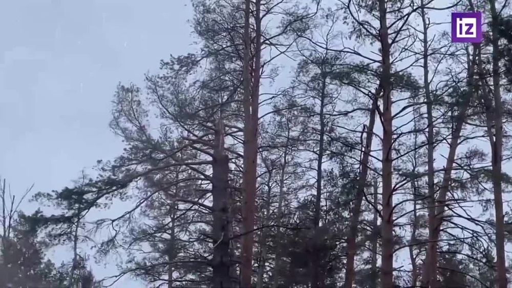 ������������ ���������� ������ �� ������� ������������� ���������� �� ������������� ��������� ���������-��������� ��������������� �� �� �� ���������� �����������