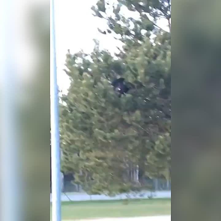 � ������� ������� �������� ��������, �� ������� ������� � ��������� ��� ���. ����� ������ ������� - ������ �� ������, ��� ����� "��������� ����"