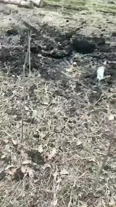 �������� ������� ���������� ����� ����� ������ �������� � ���������� �������� �� ��