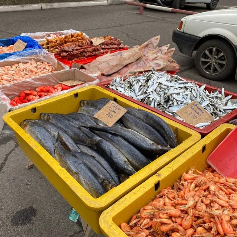 � ������ ��������� ������ �������