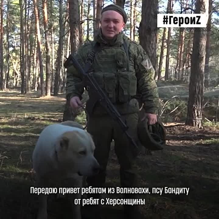 ������� ������� ������ ������ � �������� ������� ������ �� ��� ������������