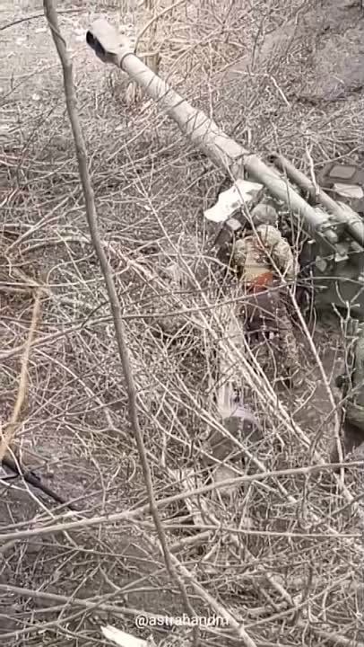 ������� ���������: ���������� 1-�� ������� ���� ����� �� ���������� �����������