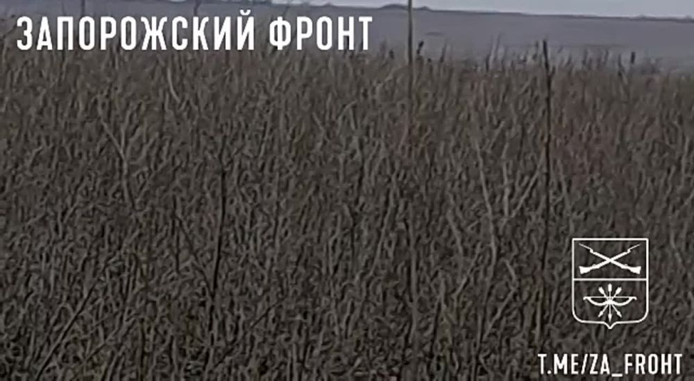 �� �������� ���� �������� ��� ��������, ����������� �������, ������