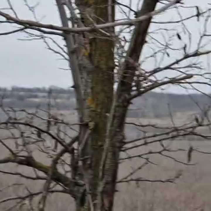 ������� ������: �������� ���� ��� �� ��������� - ����� 8 ������ �����: ����� ������, ��������� - ���. ����� �������� � ������� ���� � ����������