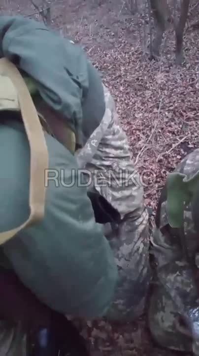 ������ �������: ���������� ������������� ���������� ������� ��������� �� ���������� �����������