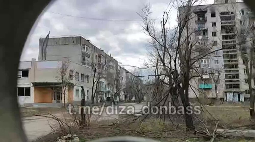 ������ ���������: ������������, ���. ���� ���