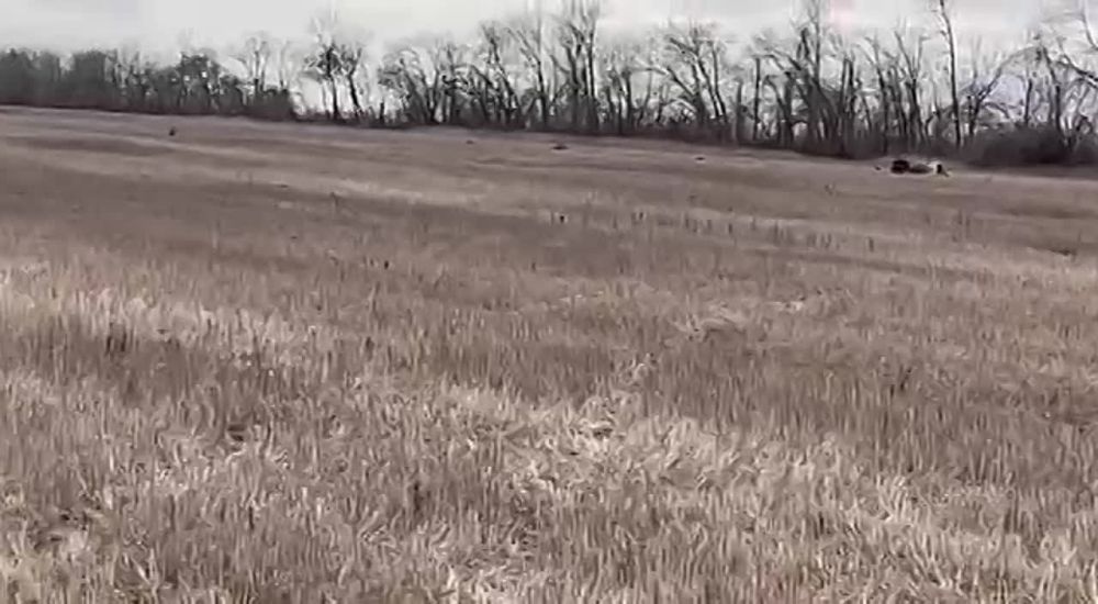 �����, ��� �� ����� ������� ������� �� ���������� ����������� ��������������� ��-24 ��� ���