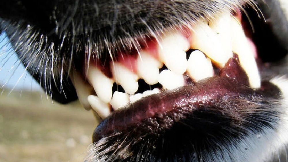 � ��� ������� ������� ��������������� ��������� ����� �������� ��������