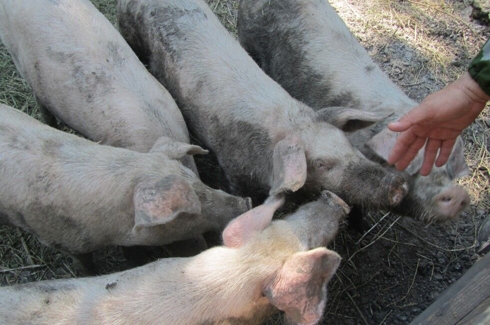 ��� ��������� ����� ����������� ����������� �� ����������� ���� ������ �� ��������� ����������