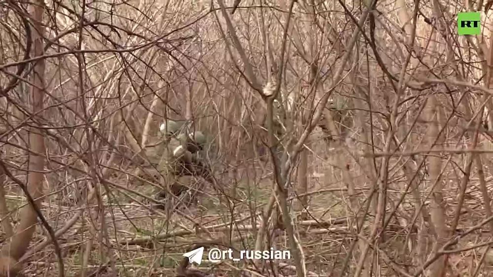 ������� �������� �����. ���� ������ ���� � �������� �������������� �����, �� ����� ������ ���������� ���, ������ ��������������� � �����������