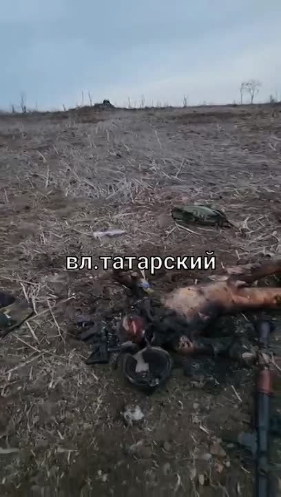 ������ ��������� �������, ��� ��� ���� ���� �������� ����