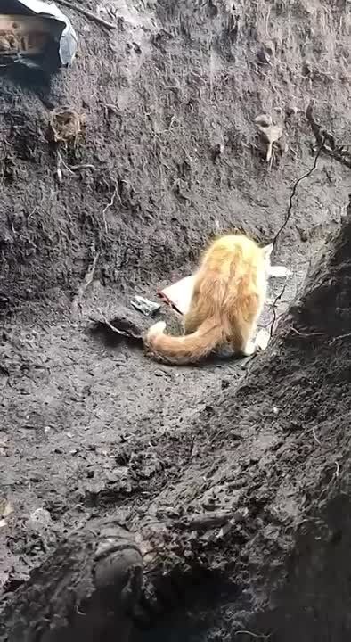 ������� �� ������ �� ������� ��������� ��� ���������