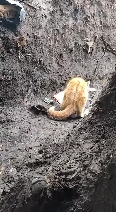 ������� ���� 13 ������ � �������