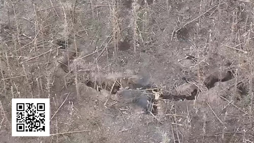 ���� ������ - ���� �����!