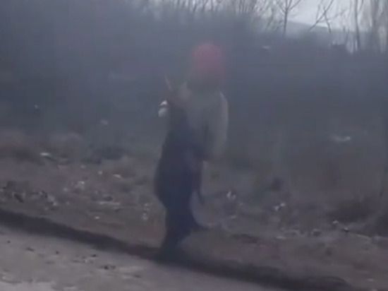 ��� ����������� �������� ����������� ������� � ���������: �� ��� �� �����