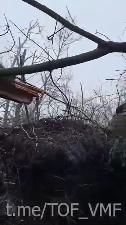 ������� ��� ��������� ��������� � ����� ��� � ���������� ��������