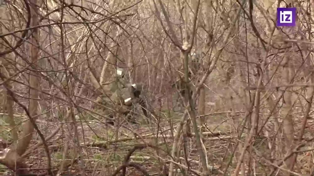 "���� � �������� ������ �� ������"